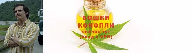 дмт Козельск