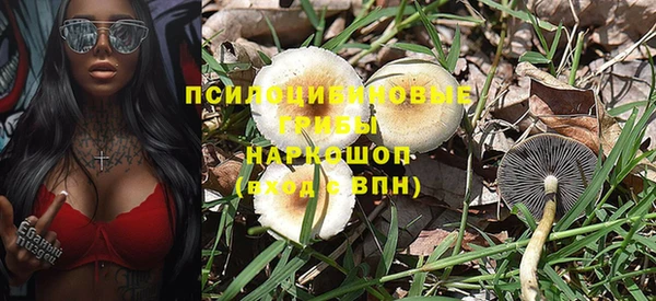бутират Козловка