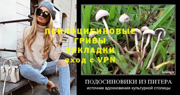 бутират Козловка